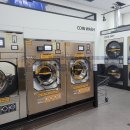 펭귄세탁 이미지