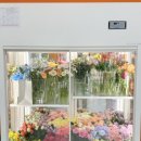 그린봄 | 구래동 꽃집 봄을 그린 꽃 내돈내산 후기