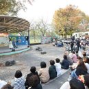 일등장터 이미지