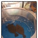 바다드림 이미지