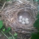 둥지농원 이미지