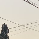 뉴스 행궁점 이미지