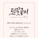 담꽃 이미지