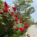 이마트24 홍대서교점 이미지