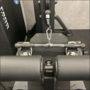 베리 핏 피티 이미지