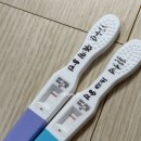 화성스마일약국 | 계획임신 둘째준비 8번째만에 성공🤰🏻스마일배테기, 임신극초기 증상,