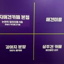 약지애견카페 이미지