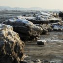 갯벌이야기 이미지