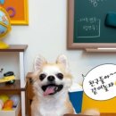 멈무스테이 (Mummoo stay) 네이버블로그