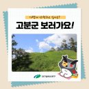 구암동544 | 대구 북구 구암동 고분군 가볍게 산책하면서 둘러보기 좋아요!