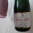 세라세미 이미지