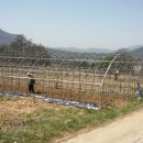 규범농장 이미지