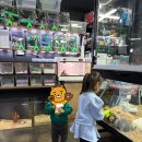 단짠아쿠아 삼천점 이미지