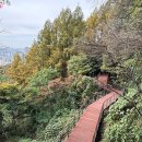 봄이 오는 길(시비 이미지