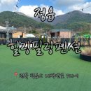 힐링 | 정읍 내장산 펜션 힐링필링후기