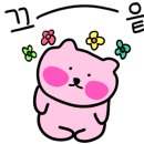 폴라스튜디오 이미지