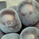 중앙로 느티나무길 이미지