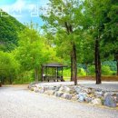 마루펜션 캠핑장 이미지