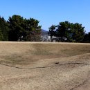 사화체육공원 이미지