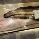 장어의힘 이미지