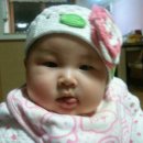 수목원피씨 이미지