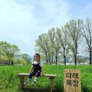 초정목장 | 청주 다래목장 🐮 아이랑 가기 좋은 곳 추천