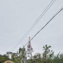 금선농장 이미지