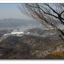 조견사우 이미지