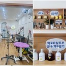 비주앙쥬 이미지