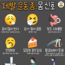 체온UP힐링 다이어트