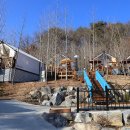 YELLOW HILL 이미지