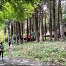 주작산자연휴양림 이미지