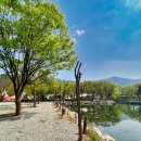 유명산밸리 캠핑장 이미지