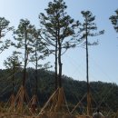 진도공설운동장 이미지