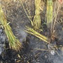 국수이야기 이미지