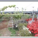 횃불농장 이미지