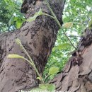 Fun Fun 영어 놀이터 (A) 이미지