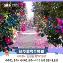 동백수목원[서] 네이버블로그