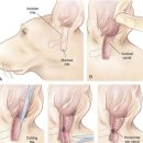해운대 케이 동물병원 이미지