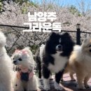 그라운독 이미지