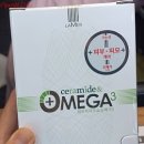 엘리네집 이미지