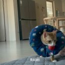 온아동물의료센터 이미지