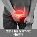정성진 이미지