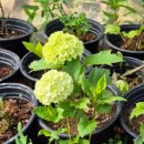 화이팅공인중개사사무소 이미지