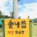 솔내음체험학습장 이미지
