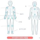 정글짐 서사라점 이미지