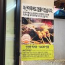 새벽길빨간오뎅봉일