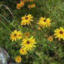 합천군산림조합 이미지