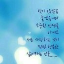 예깊미술관 이미지