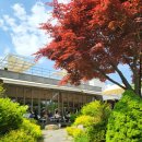 다람쥐마을누룽지백숙 이미지